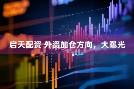 启天配资 外资加仓方向，大曝光