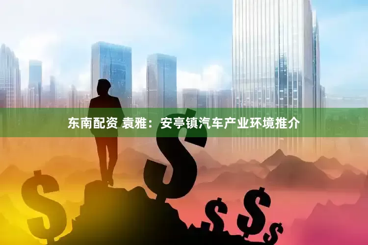 东南配资 袁雅：安亭镇汽车产业环境推介